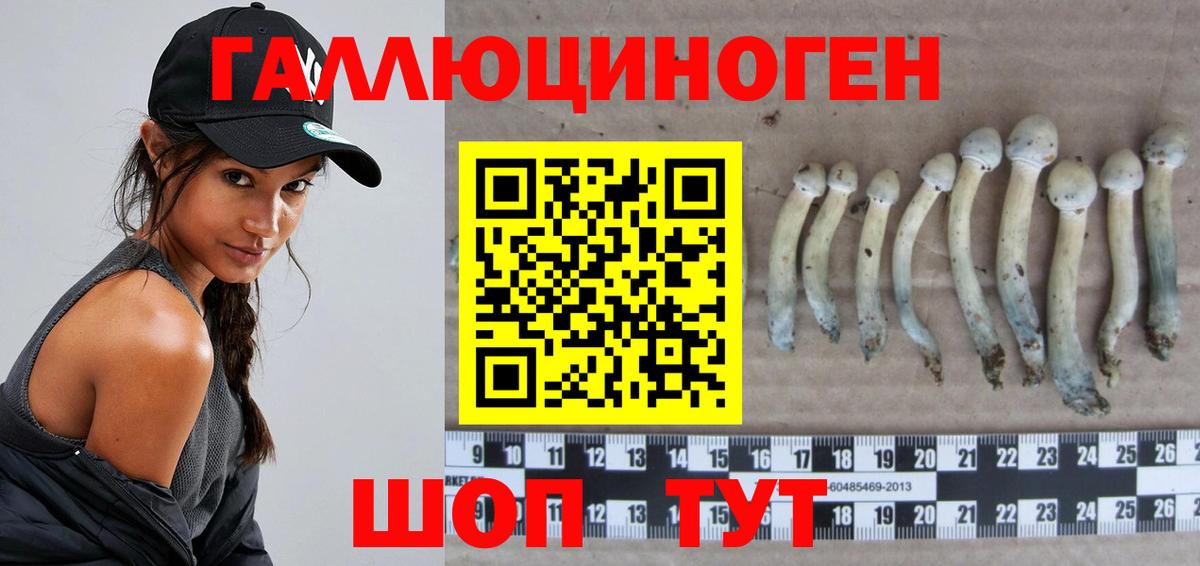 Псилоцибиновые грибы мухоморы  Вход с VPN  Псилоцибиновые грибы мицелий  Великий Новгород 