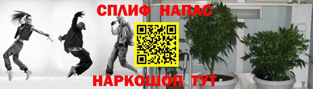 Бошки марихуана OG Kush Великий Новгород